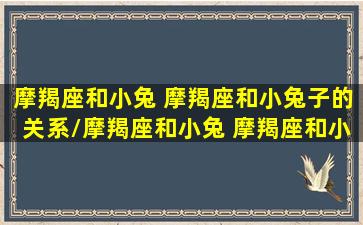 摩羯座和小兔 摩羯座和小兔子的关系/摩羯座和小兔 摩羯座和小兔子的关系-我的网站